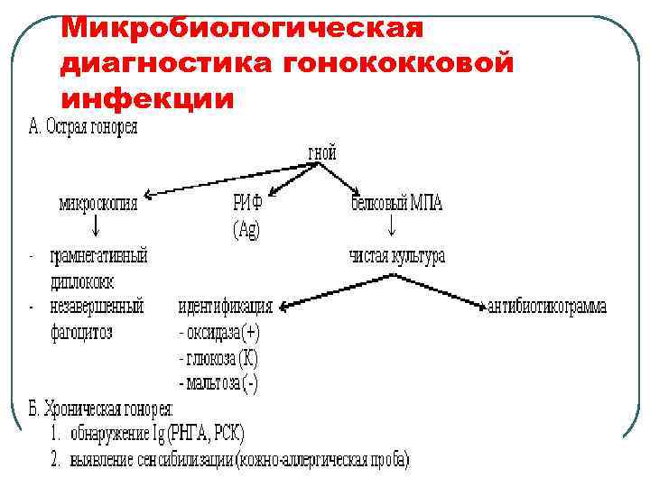 Микробиологическая диагностика гонококковой инфекции 