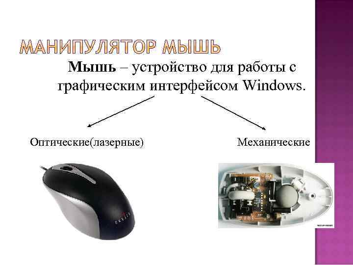 Мышь – устройство для работы с Мышь графическим интерфейсом Windows. Оптические(лазерные) Механические 