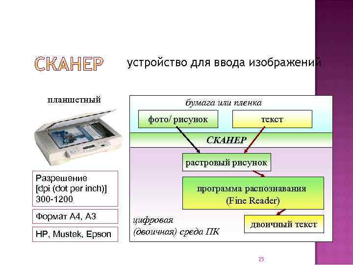 устройство для ввода изображений планшетный бумага или пленка фото/ рисунок текст СКАНЕР растровый рисунок