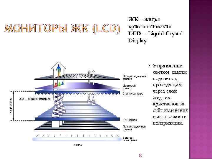 ЖК – жидкокристаллические LCD – Liquid Crystal Display • Управление светом лампы подсветки, проходящим