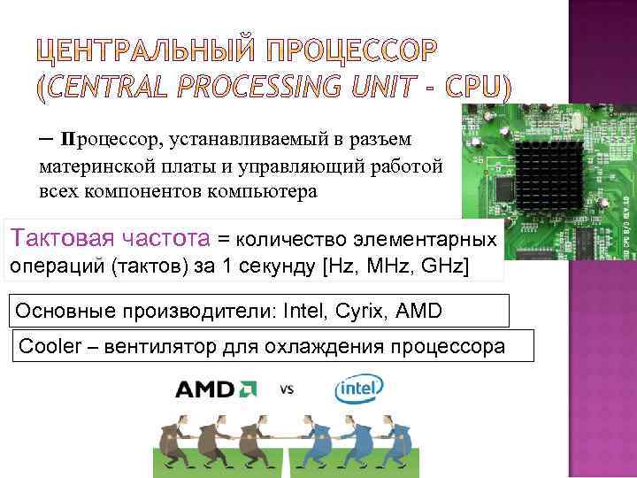 – процессор, устанавливаемый в разъем материнской платы и управляющий работой всех компонентов компьютера Тактовая