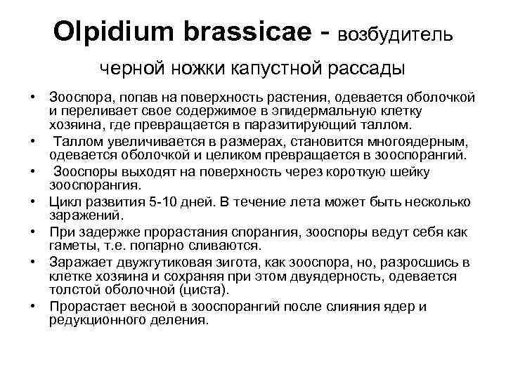 Olpidium brassicae - возбудитель черной ножки капустной рассады • Зооспора, попав на поверхность растения,