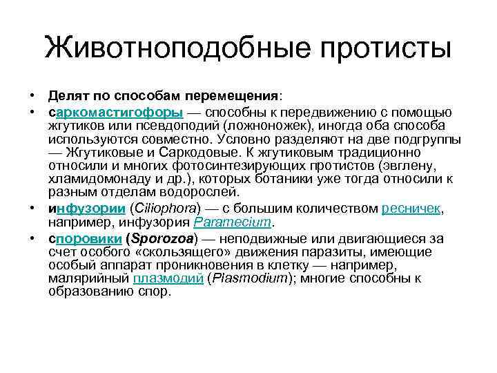 Животноподобные протисты • Делят по способам перемещения: • саркомастигофоры — способны к передвижению с