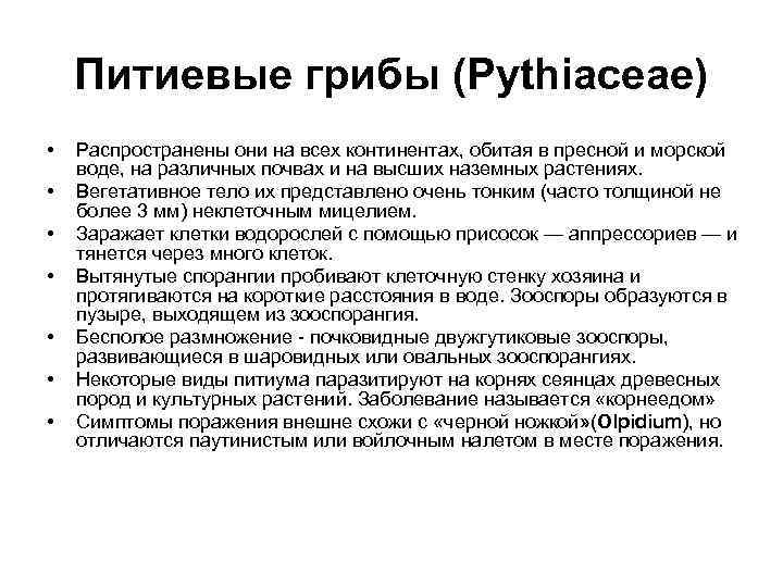 Питиевые грибы (Pythiaceaе) • • Распространены они на всех континентах, обитая в пресной и