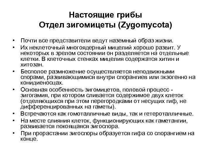 Настоящие грибы Отдел зигомицеты (Zygomycota) • Почти все представители ведут наземный образ жизни. •