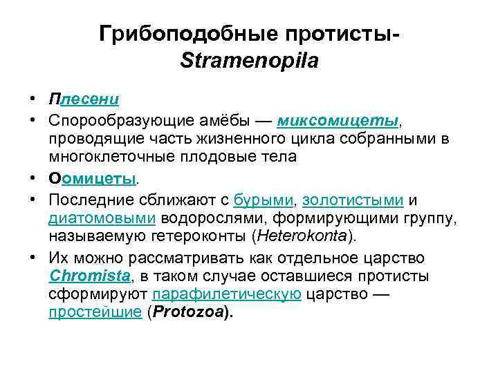 Грибоподобные протисты. Stramenopila • Плесени • Спорообразующие амёбы — миксомицеты, проводящие часть жизненного цикла
