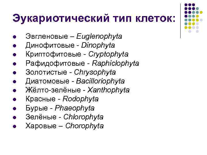 Эукариотический тип клеток: l l l Эвгленовые – Euglenophyta Динофитовые - Dinophyta Криптофитовые -