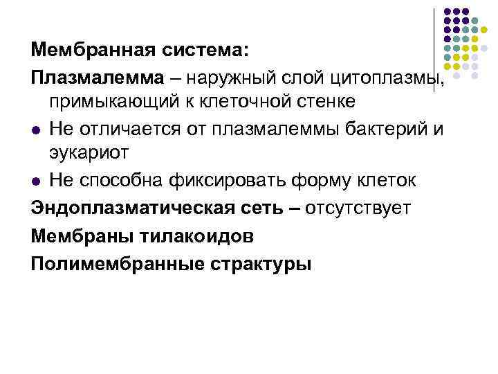 Мембранная система: Плазмалемма – наружный слой цитоплазмы, примыкающий к клеточной стенке l Не отличается