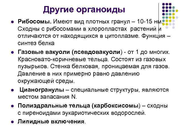 Другие органоиды l l l Рибосомы. Имеют вид плотных гранул – 10 -15 нм.