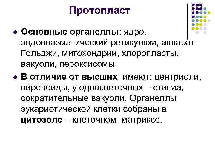 Протопласт l l Основные органеллы: ядро, эндоплазматический ретикулюм, аппарат Гольджи, митохондрии, хлоропласты, вакуоли, пероксисомы.