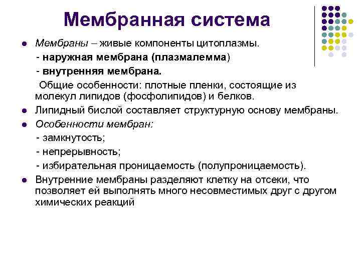 Мембранная система l l Мембраны – живые компоненты цитоплазмы. - наружная мембрана (плазмалемма) -