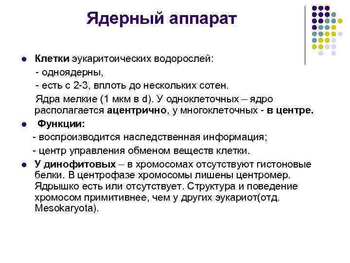 Ядерный аппарат l l l Клетки эукаритоических водорослей: - одноядерны, - есть с 2