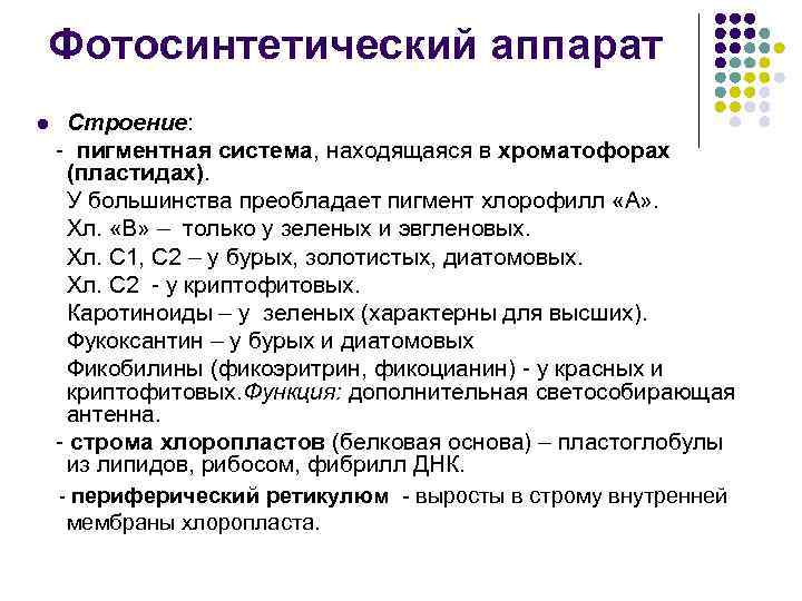 Фотосинтетический аппарат l Строение: - пигментная система, находящаяся в хроматофорах (пластидах). У большинства преобладает