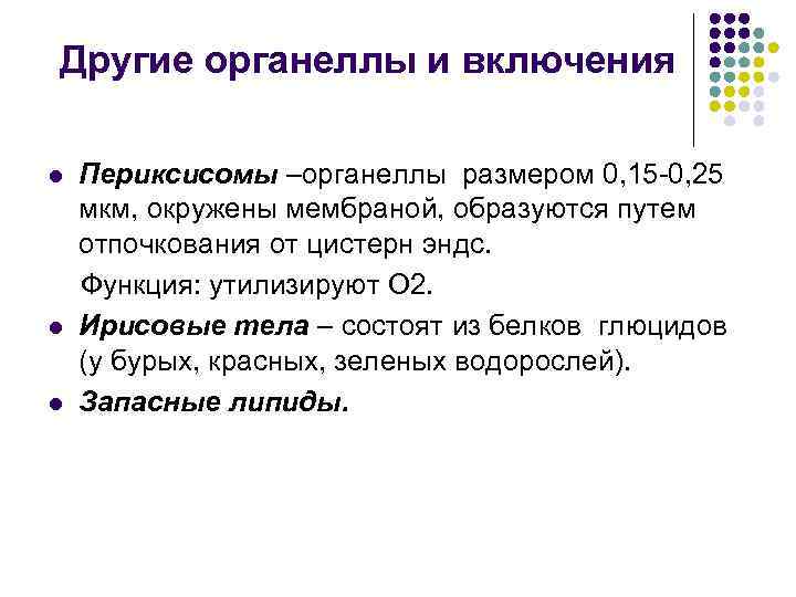 Другие органеллы и включения l l l Периксисомы –органеллы размером 0, 15 -0, 25