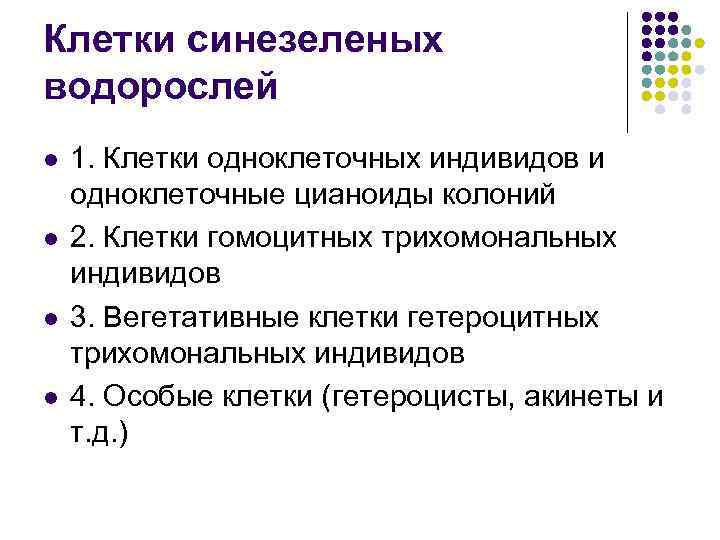 Клетки синезеленых водорослей l l 1. Клетки одноклеточных индивидов и одноклеточные цианоиды колоний 2.