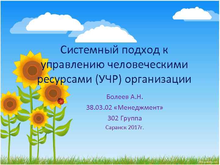Системный подход к управлению человеческими ресурсами (УЧР) организации Болеев А. Н. 38. 03. 02