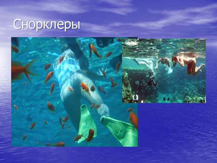 Снорклеры 