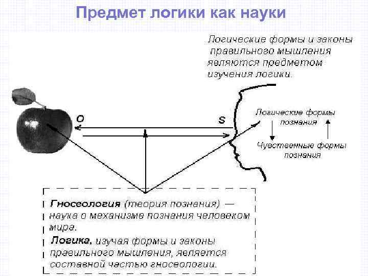 Предмет логики