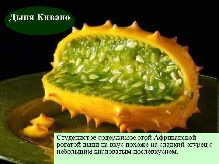 Дыня Кивано Студенистое содержимое этой Африканской рогатой дыни на вкус похоже на сладкий огурец