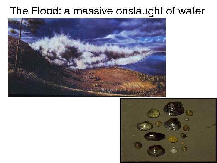 The Flood: a massive onslaught of water 