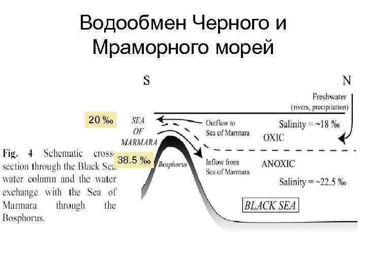 Водообмен Черного и Мраморного морей 20 ‰ 38. 5 ‰ 