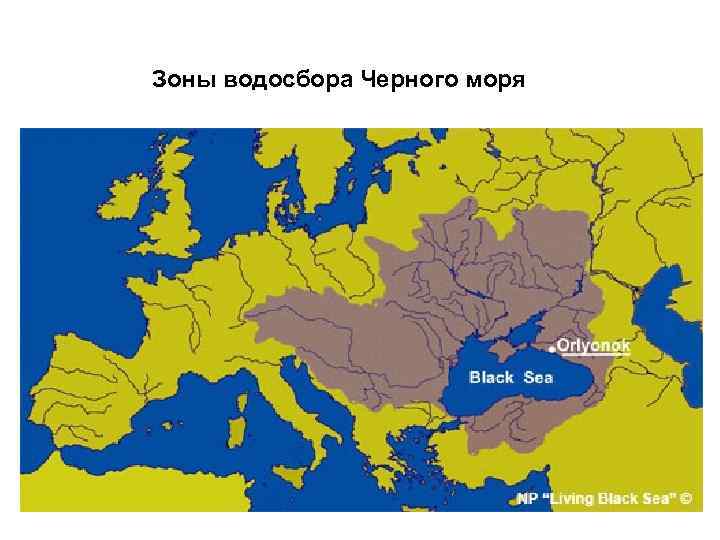 Зоны водосбора Черного моря 