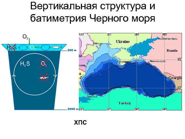 Вертикальная структура и батиметрия Черного моря ХПС 