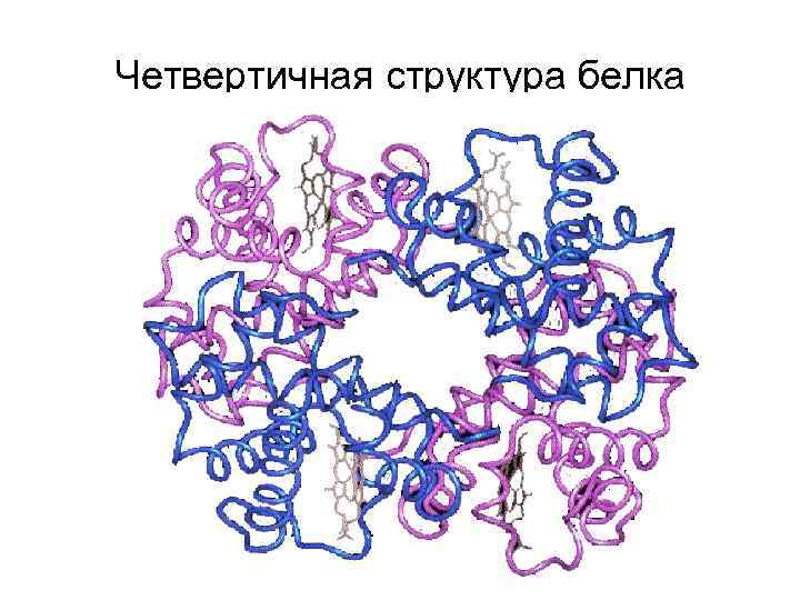 Рисунок четвертичной структуры белка