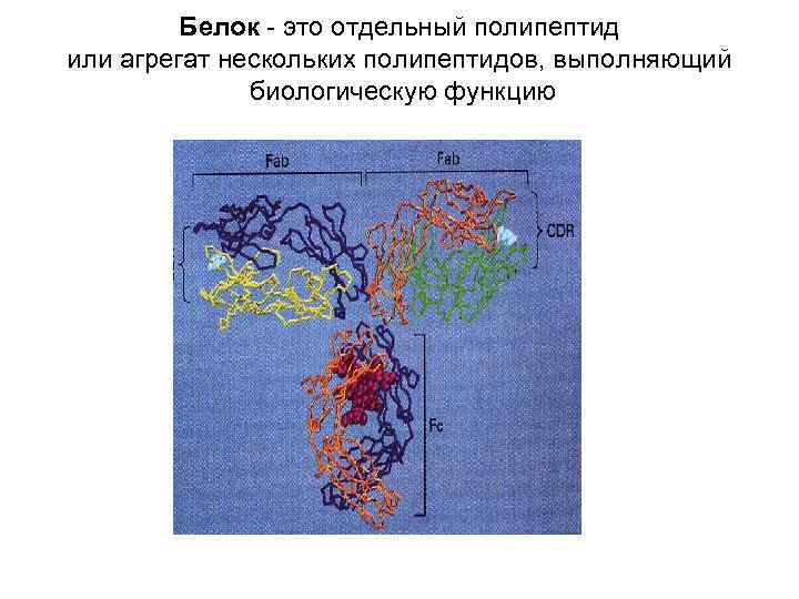 Белок - это отдельный полипептид или агрегат нескольких полипептидов, выполняющий биологическую функцию 
