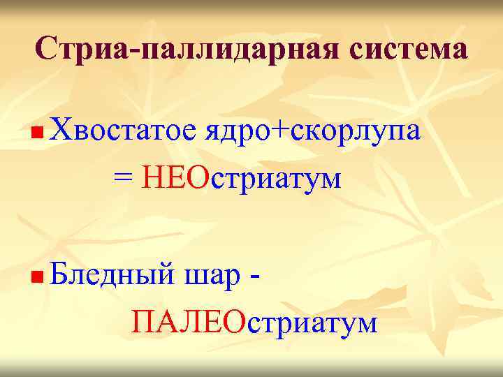 Стриа-паллидарная система n n Хвостатое ядро+скорлупа = НЕОстриатум Бледный шар ПАЛЕОстриатум 