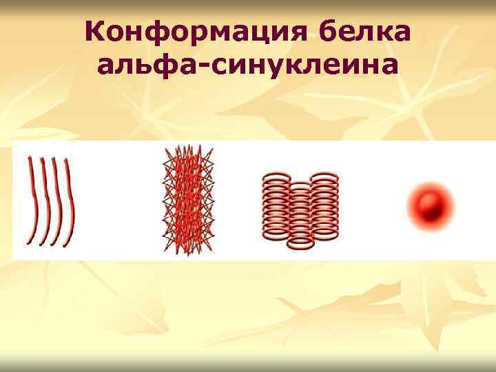 Конформация белка альфа-синуклеина 