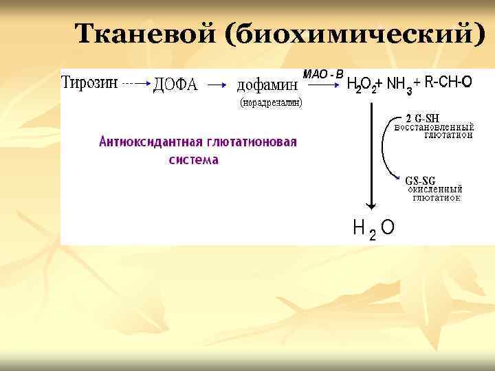 Тканевой (биохимический) 