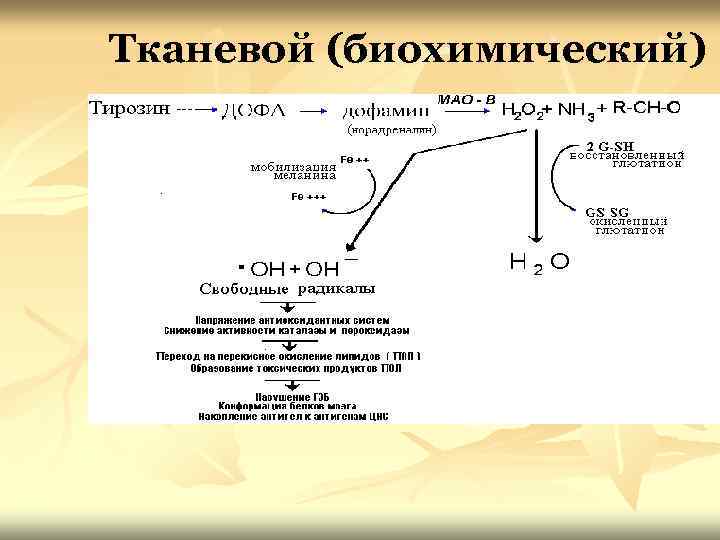 Тканевой (биохимический) 