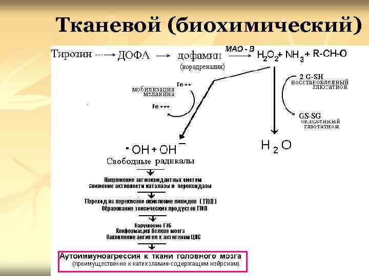 Тканевой (биохимический) 