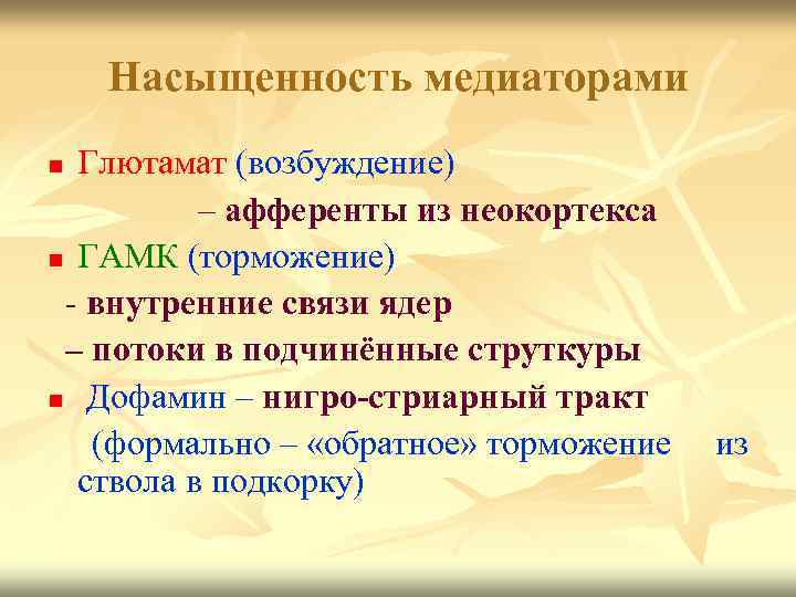 Насыщенность медиаторами Глютамат (возбуждение) – афференты из неокортекса n ГАМК (торможение) - внутренние связи