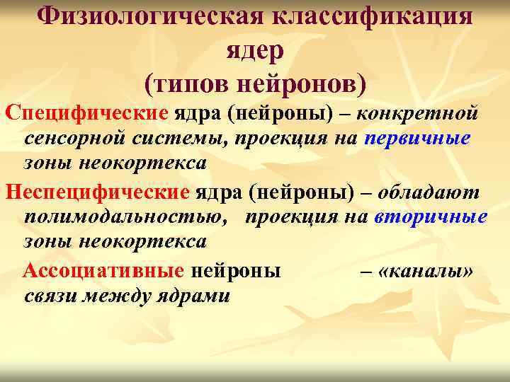 Физиологическая классификация ядер (типов нейронов) Специфические ядра (нейроны) – конкретной сенсорной системы, проекция на