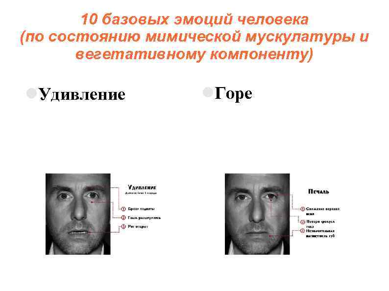 10 базовых эмоций человека (по состоянию мимической мускулатуры и вегетативному компоненту) Удивление Горе 