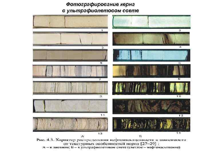 Фотографирование керна в ультрафиолетовом свете 