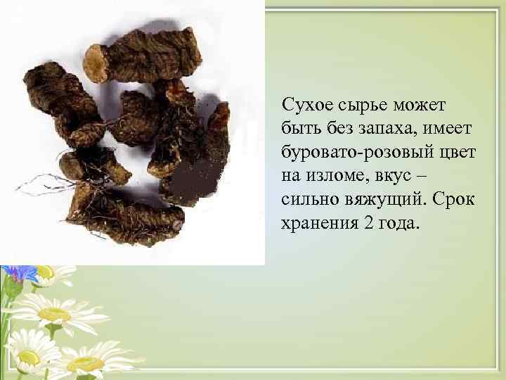  Сухое сырье может быть без запаха, имеет буровато-розовый цвет на изломе, вкус –