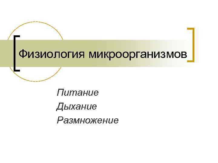 Физиология микроорганизмов Питание Дыхание Размножение 