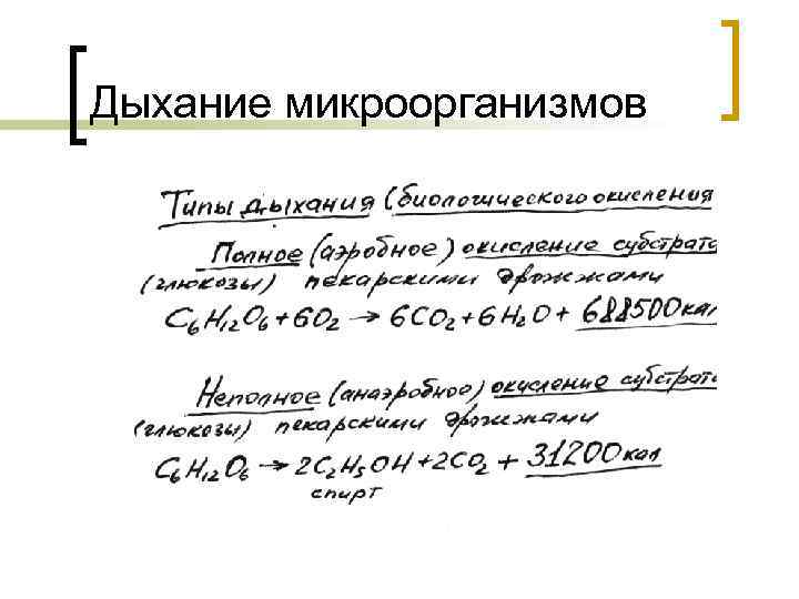 Дыхание микроорганизмов 