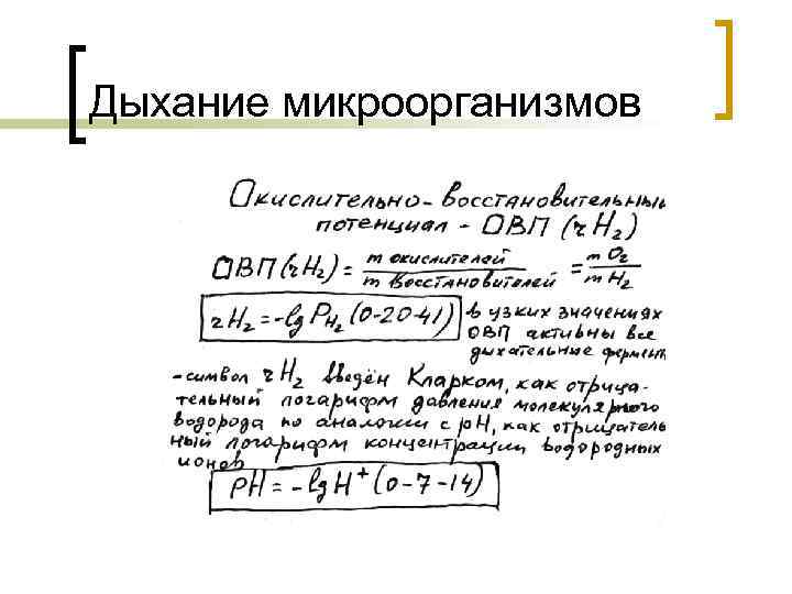 Дыхание микроорганизмов 