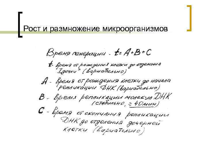 Рост и размножение микроорганизмов 