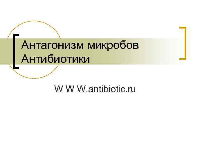 Антагонизм микробов Антибиотики W W W. antibiotic. ru 