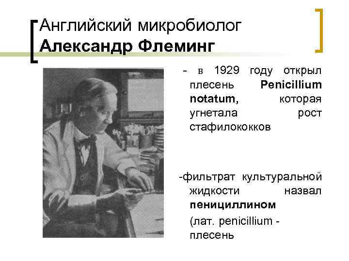 Английский микробиолог Александр Флеминг - в 1929 году открыл плесень Penicillium notatum, которая угнетала