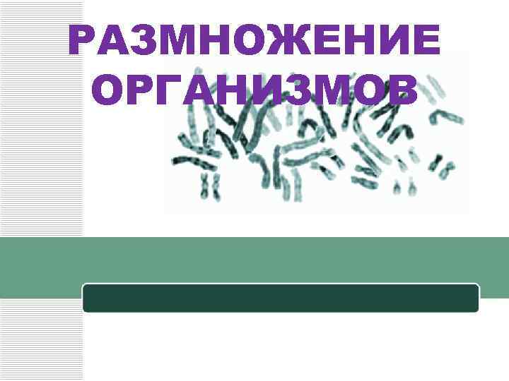 РАЗМНОЖЕНИЕ ОРГАНИЗМОВ 