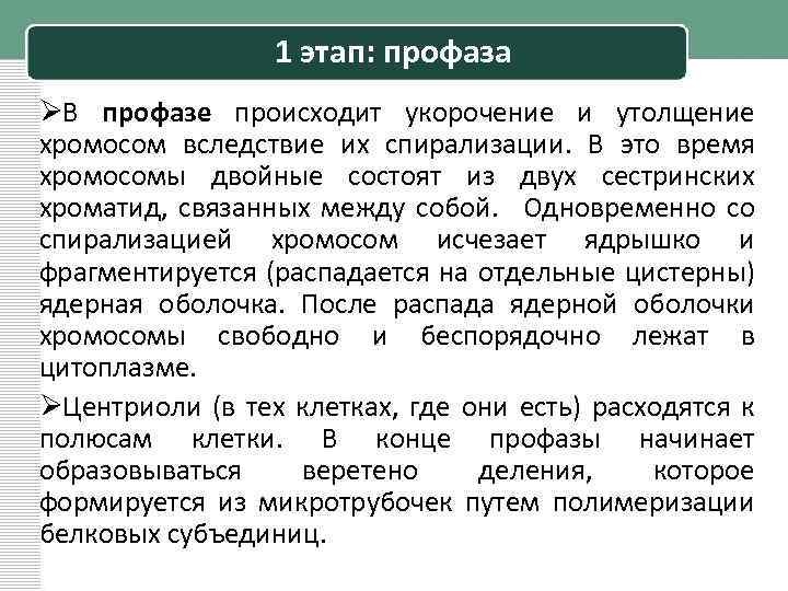 1 этап: профаза ØВ профазе происходит укорочение и утолщение хромосом вследствие их спирализации. В