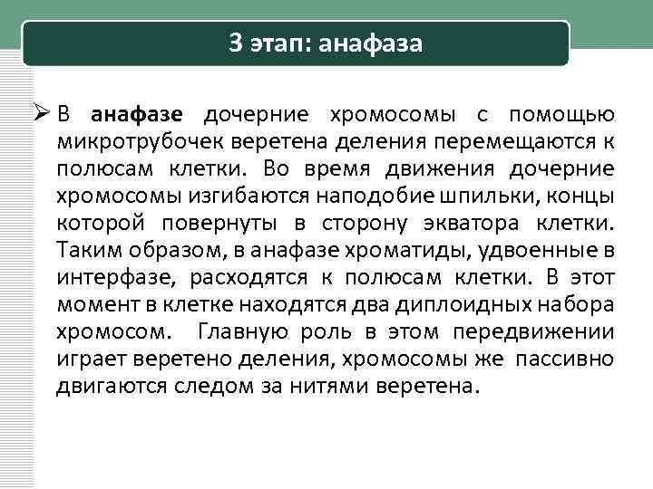 3 этап: анафаза Ø В анафазе дочерние хромосомы с помощью микротрубочек веретена деления перемещаются