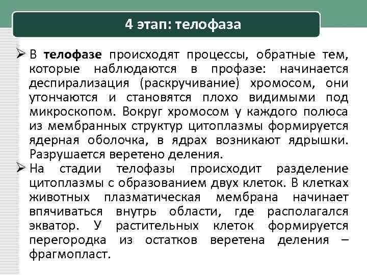 4 этап: телофаза Ø В телофазе происходят процессы, обратные тем, которые наблюдаются в профазе: