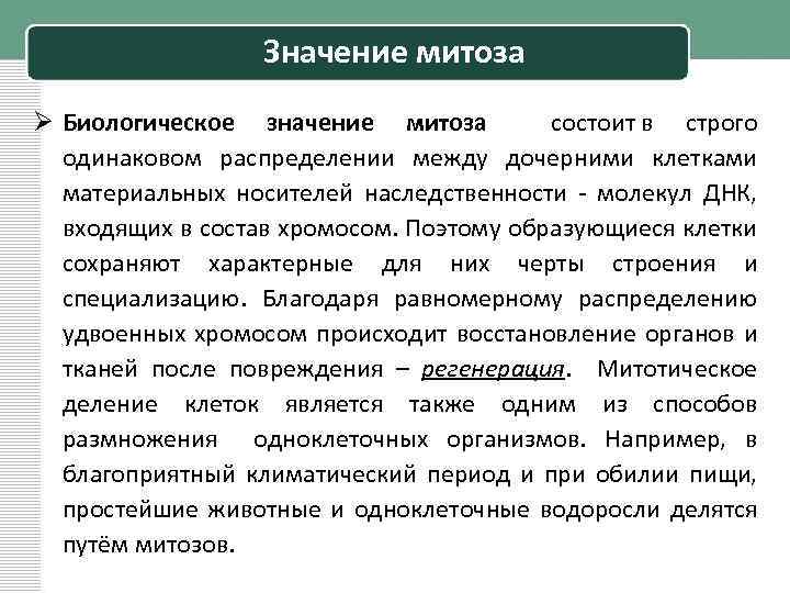 Значение митоза Ø Биологическое значение митоза состоит в строго одинаковом распределении между дочерними клетками